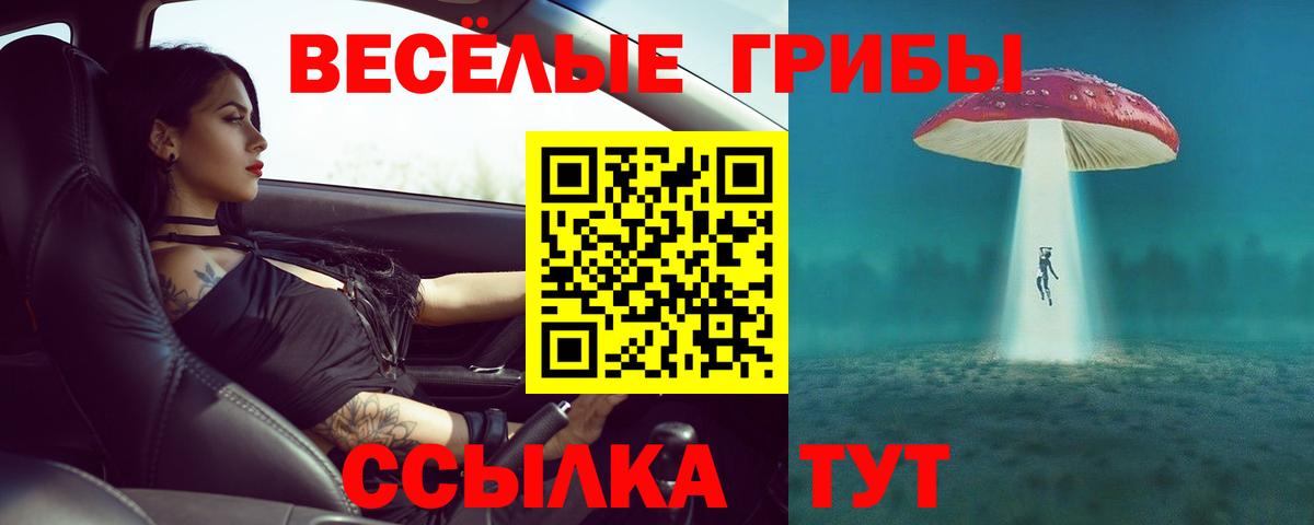 Егорьевск  Галлюциногенные грибы мицелий  Вход с VPN 