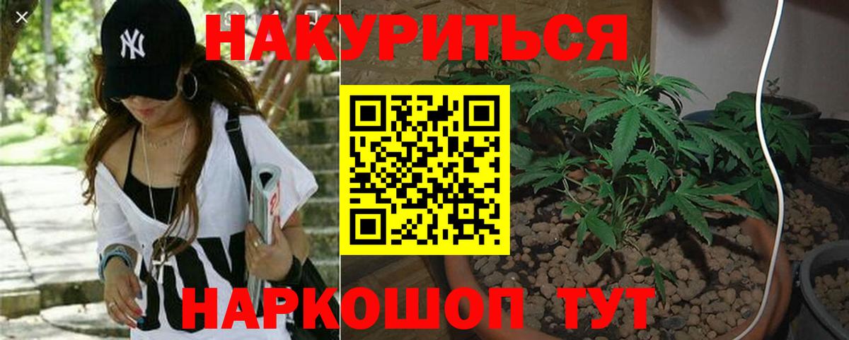 Конопля сатива Егорьевск